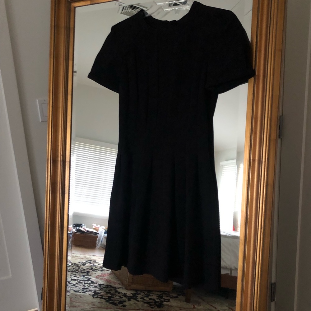 W118 by Walter Baker black fully lined with flattering pleating detail size XS